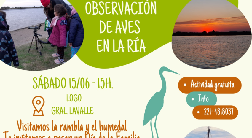 Mañana habrá observación de aves en la Ría de Ajó