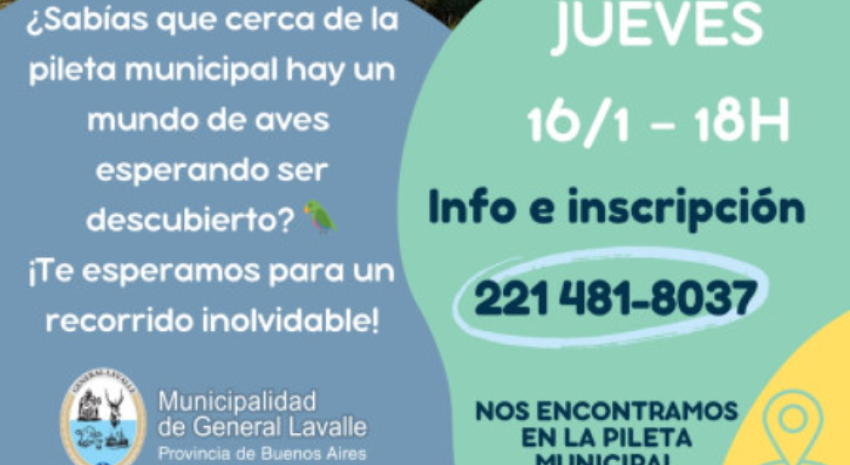 Esta tarde habrá “Observación de aves en la pileta municipal”