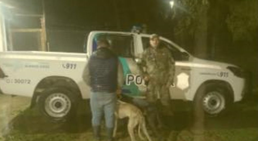 Aprehendieron a tres hombres por cazar con perros galgos y sin permiso