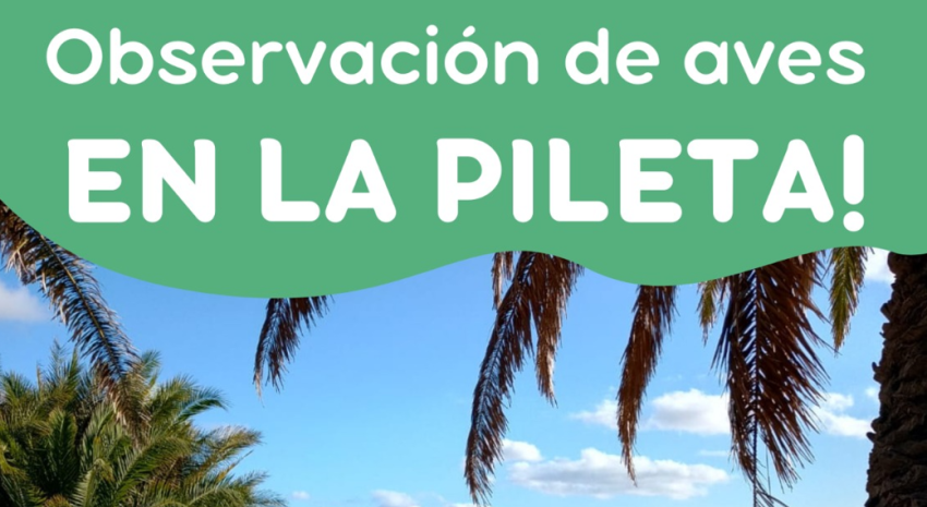 Turismo te invita a la “Observación de aves en la pileta municipal