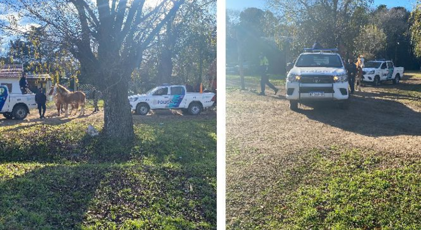 La policía secuestró 4 caballos que estaban sueltos en la vía públ