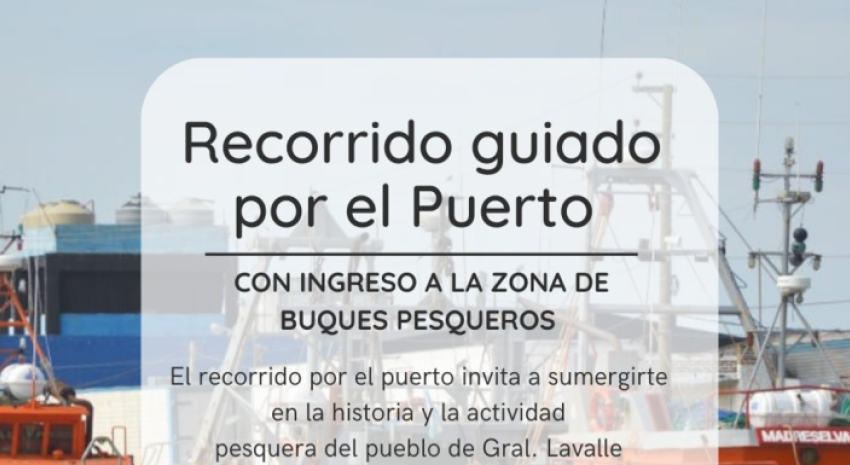 Recorrido guiado por el puerto: Conocé los días y horarios     