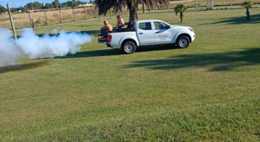 Iniciaron las tareas de fumigación en las tres localidades para celeb