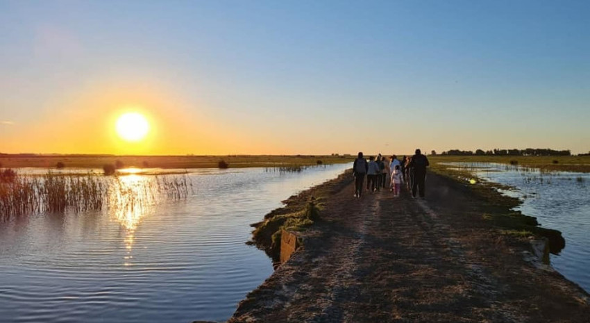 Se reprogramó para este sábado la salida de Avistaje de Aves en el 