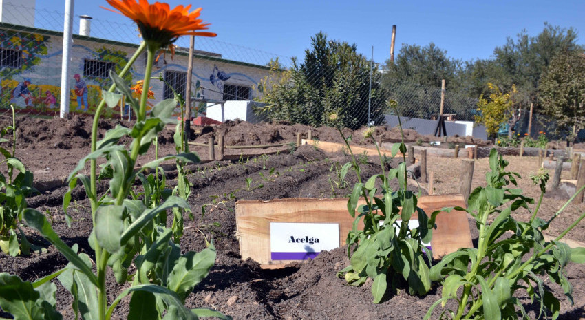 Se encuentra abierta la inscripción al curso de “Huerta Familiar”