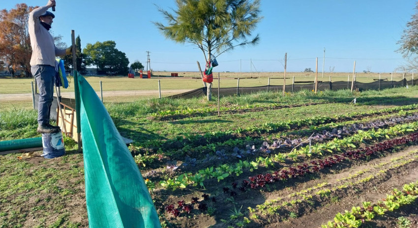 Las huertas del Vivero Municipal se preparan para abastecer al Hospita