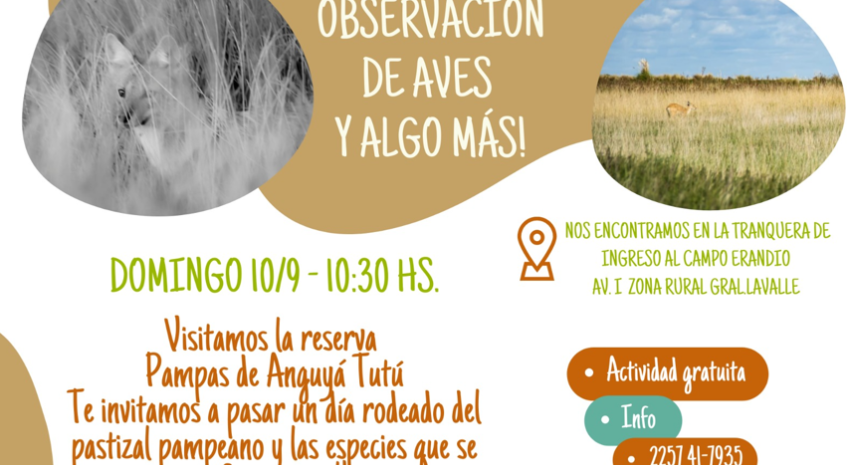 Este domingo habrá observación de aves en la zona rural de General L