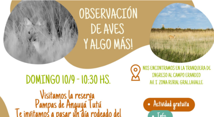 Este domingo habrá observación de aves en la zona rural de General L