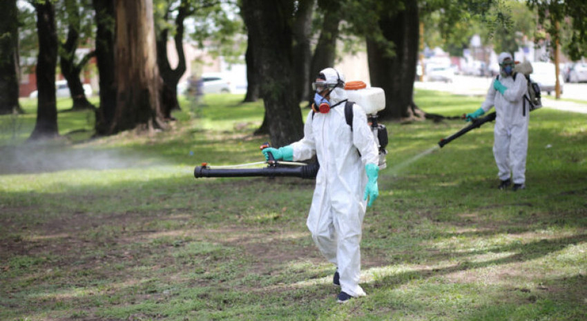 Hoy iniciará una nueva jornada de fumigación contra el mosquito del 