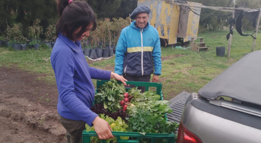 La Huerta Municipal tuvo su primera cosecha y realizó la donación al